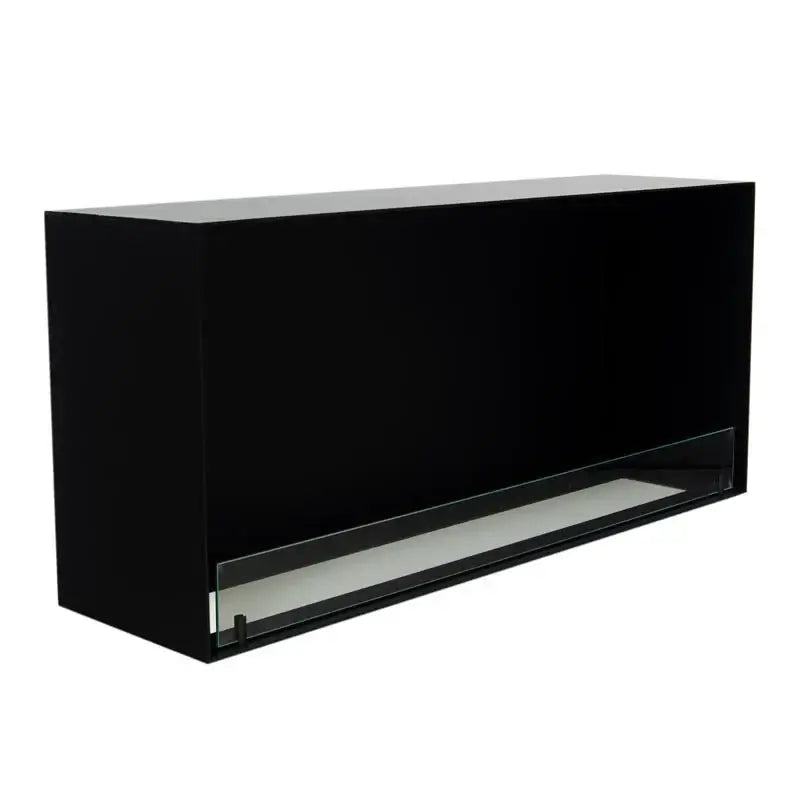 Foco One 1100 Medium bioethanol fireplace with black powder-coated stainless steel and tempered glass panel.