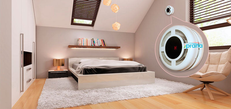 How can PRANA decentralized ventilation help prevent mould in a house?