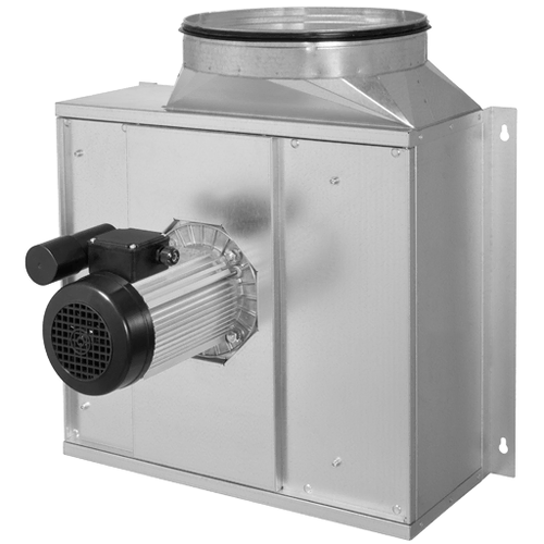 Ruck wall-mounted fan for commercial kitchen